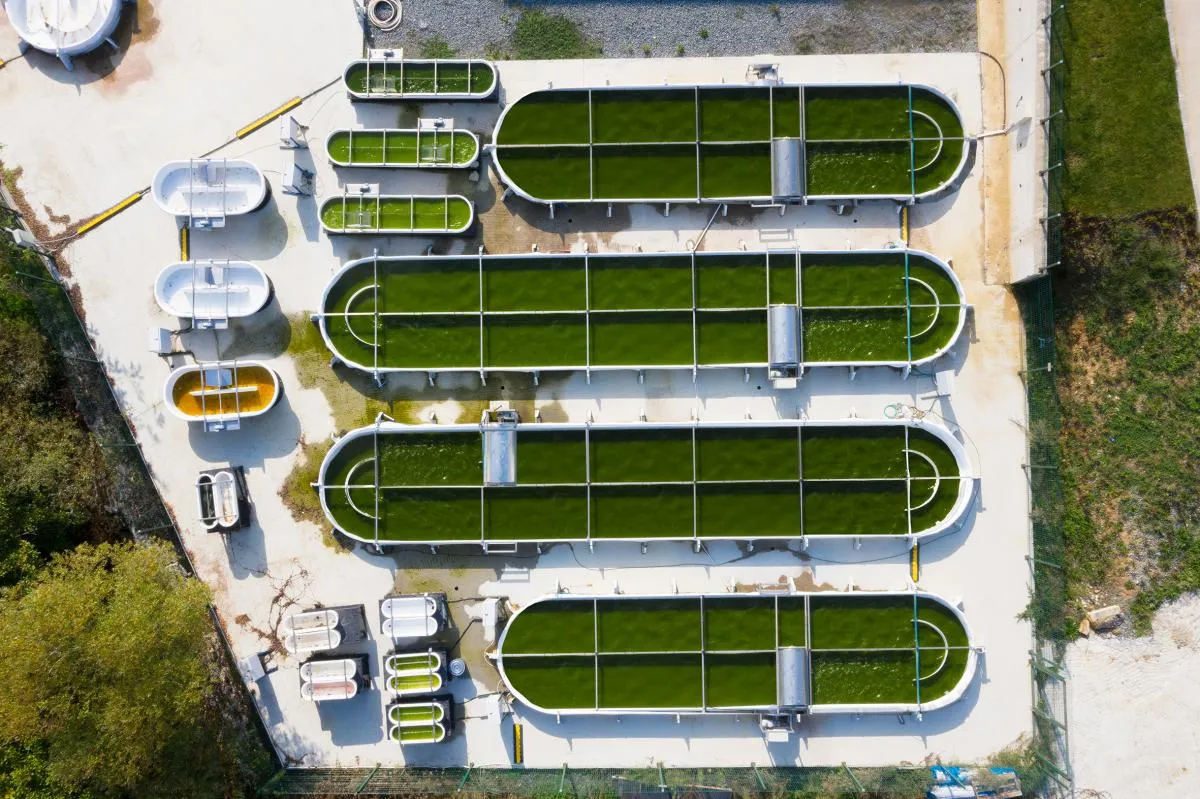 BOĞAZİÇİ ÜNİVERSİTESİ MİKROYOSUN LABORATUVARI İŞİ